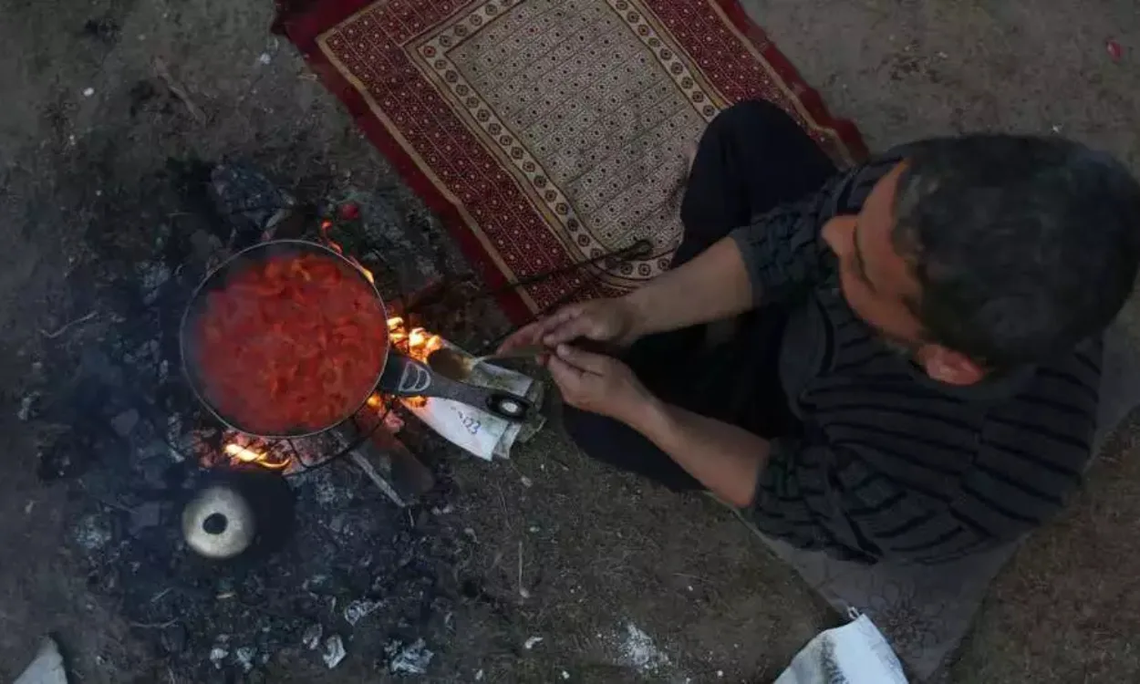 Violations of Food Security The Impact of War on Agriculture and Access to Food in Gaza